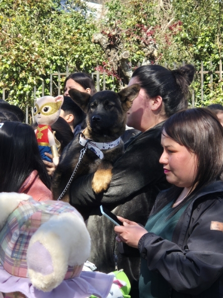 Bendición de Mascotas 2024